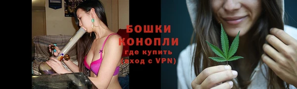 Альфа ПВП Медногорск
